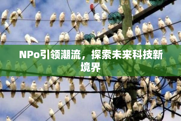 ΝPo引领潮流，探索未来科技新境界