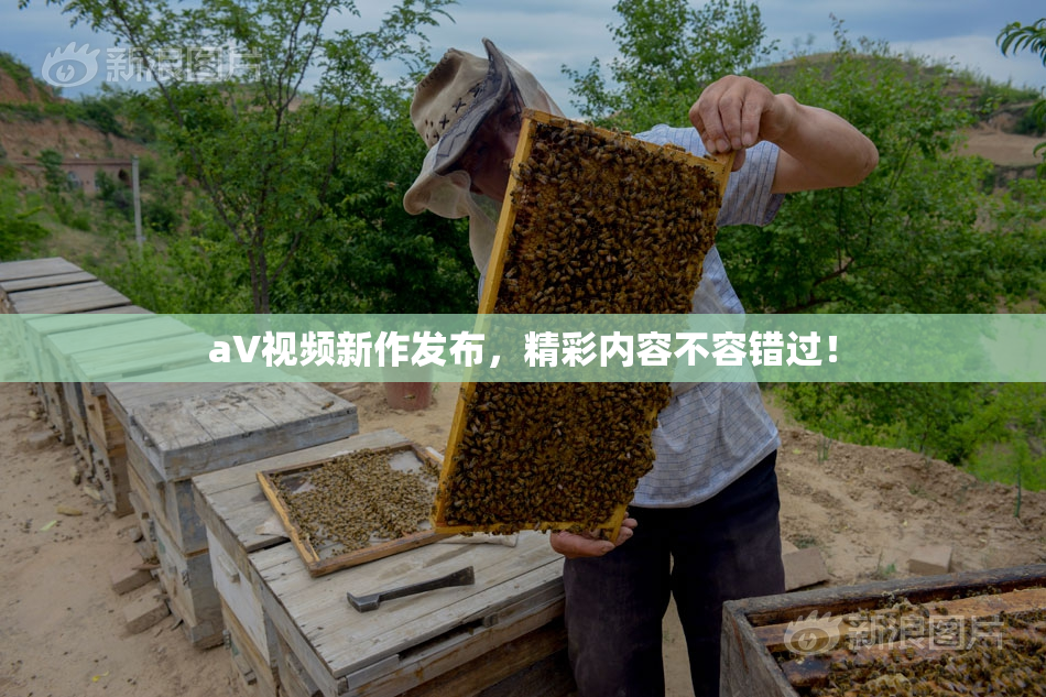 aV视频新作发布，精彩内容不容错过！