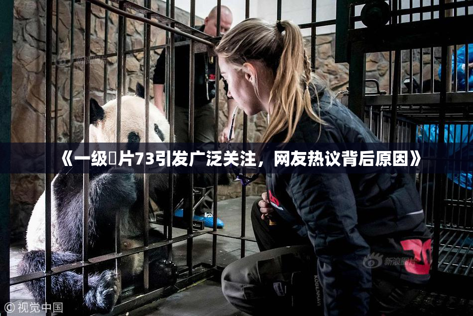 《一级婬片73引发广泛关注，网友热议背后原因》