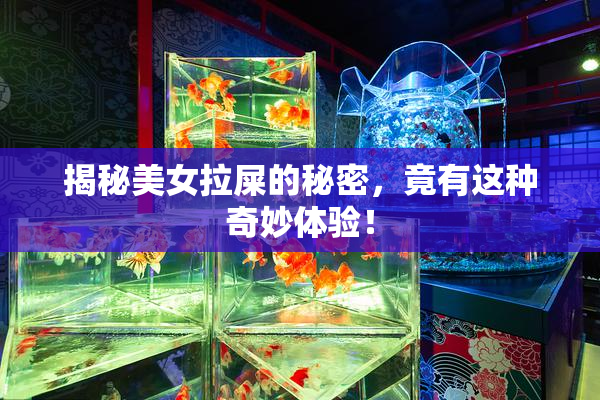 揭秘美女拉屎的秘密，竟有这种奇妙体验！