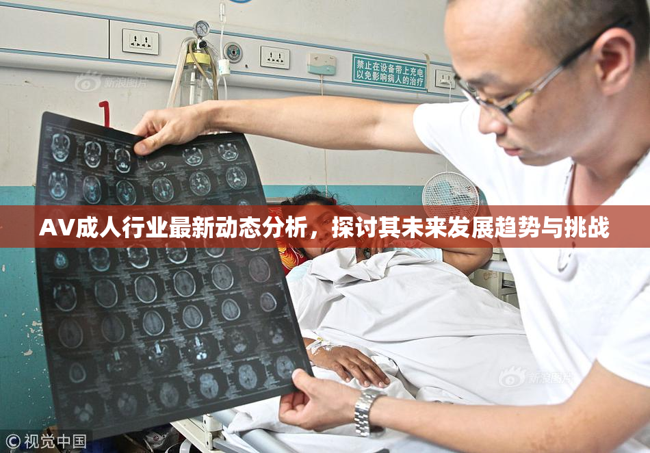 AV成人行业最新动态分析，探讨其未来发展趋势与挑战