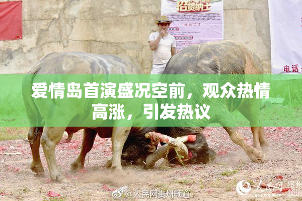 爱情岛首演盛况空前，观众热情高涨，引发热议