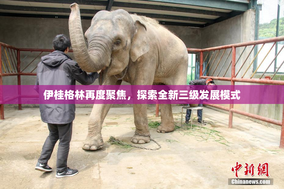 伊桂格林再度聚焦，探索全新三级发展模式