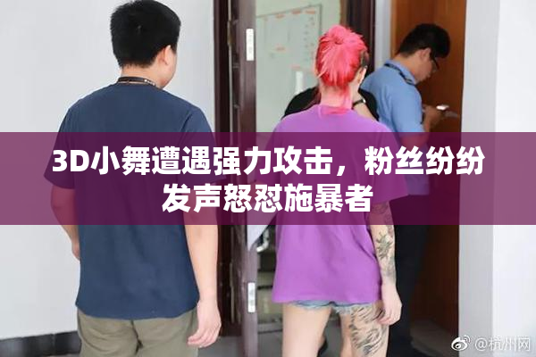 3D小舞遭遇强力攻击，粉丝纷纷发声怒怼施暴者