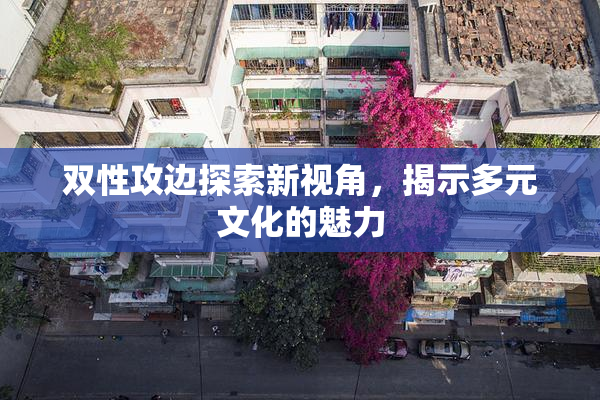 双性攻边探索新视角，揭示多元文化的魅力
