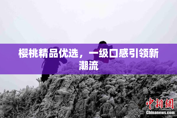 樱桃精品优选，一级口感引领新潮流