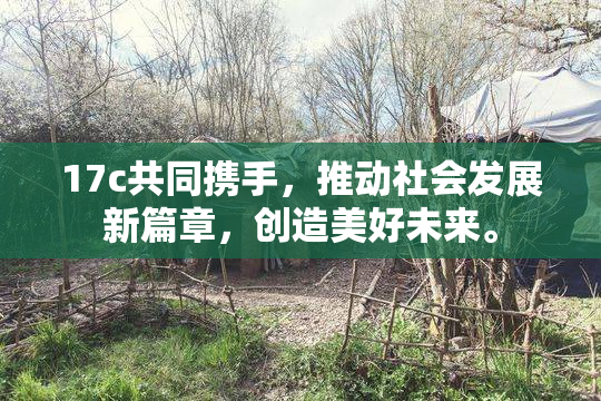 17c共同携手，推动社会发展新篇章，创造美好未来。