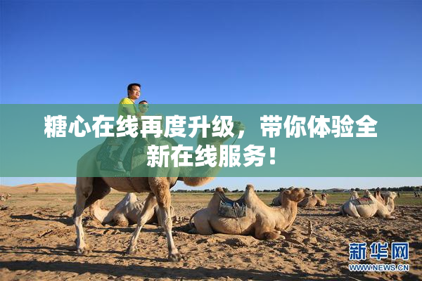 糖心在线再度升级，带你体验全新在线服务！