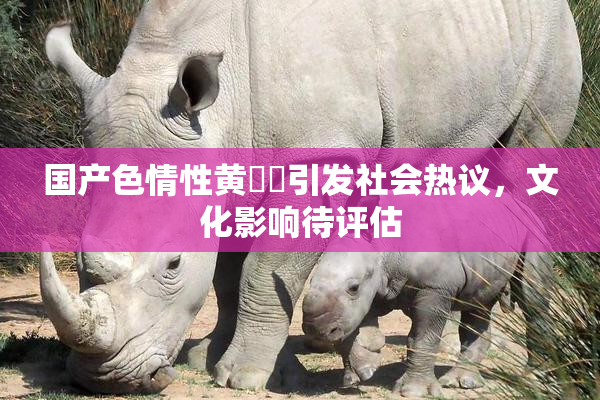 国产色情性黄❌‌引发社会热议，文化影响待评估