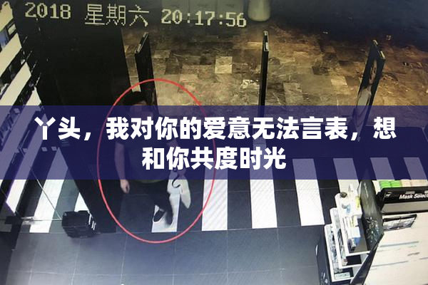 丫头，我对你的爱意无法言表，想和你共度时光