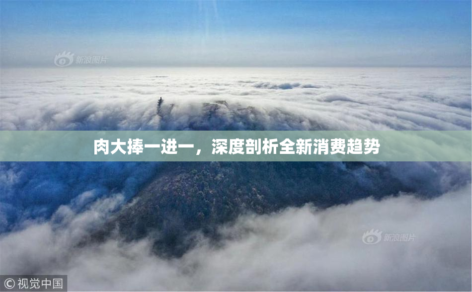 肉大捧一进一，深度剖析全新消费趋势