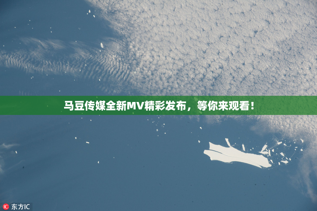马豆传媒全新MV精彩发布，等你来观看！
