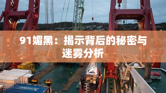91媚黑：揭示背后的秘密与迷雾分析