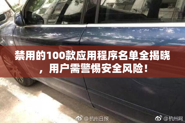禁用的100款应用程序名单全揭晓，用户需警惕安全风险！