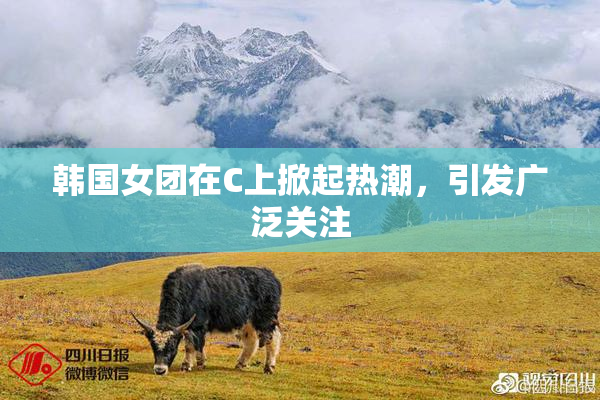 韩国女团在C上掀起热潮，引发广泛关注