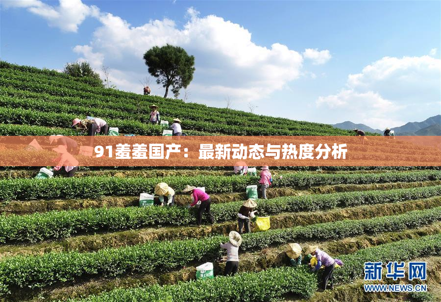 91羞羞国产：最新动态与热度分析