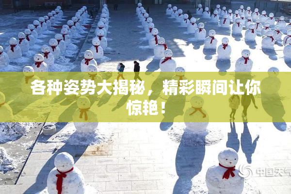 各种姿势大揭秘，精彩瞬间让你惊艳！