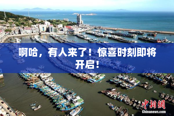 啊哈，有人来了！惊喜时刻即将开启！