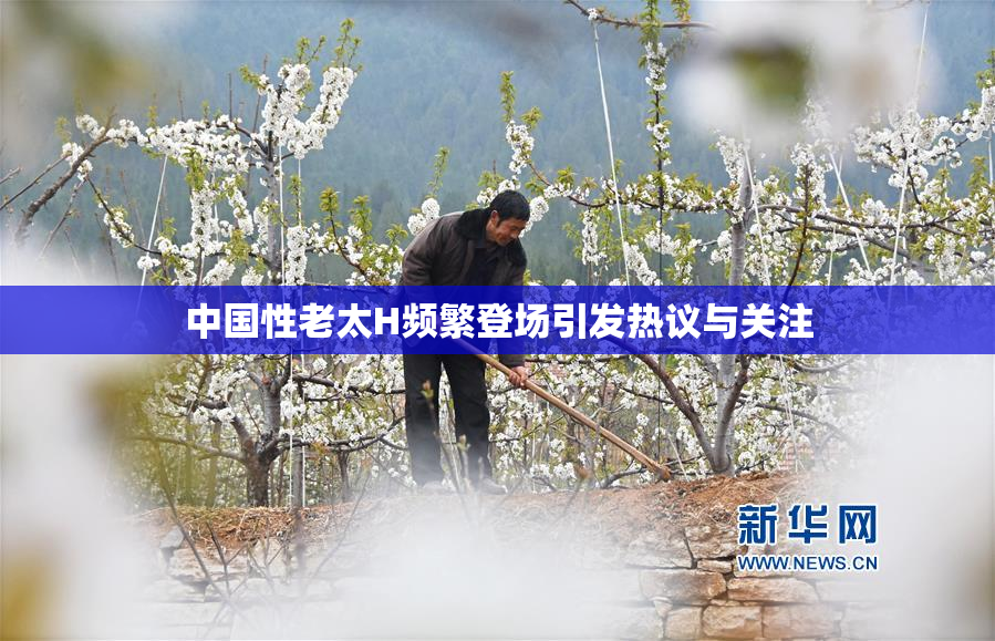 中国性老太H频繁登场引发热议与关注