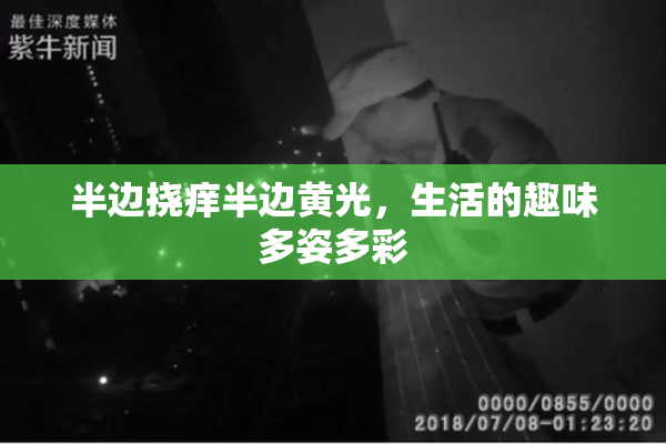 半边挠痒半边黄光，生活的趣味多姿多彩