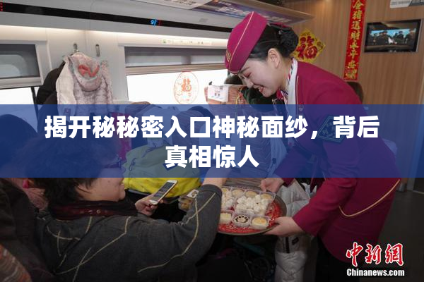 揭开秘秘密入口神秘面纱，背后真相惊人