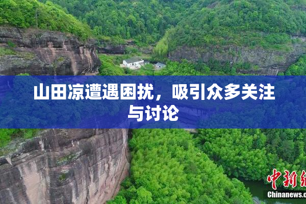 山田凉遭遇困扰，吸引众多关注与讨论
