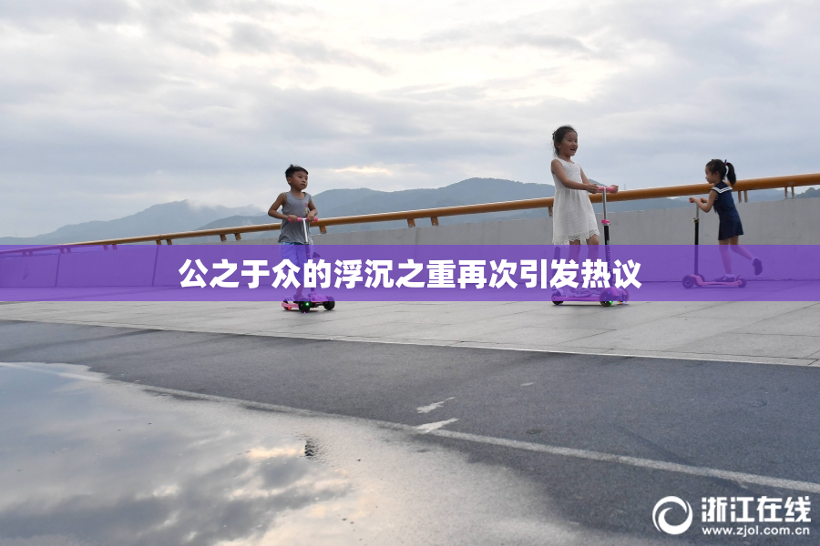 公之于众的浮沉之重再次引发热议