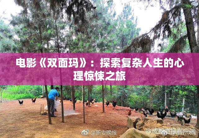 电影《双面玛》：探索复杂人生的心理惊悚之旅