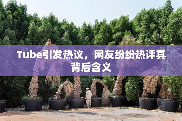 Tube引发热议，网友纷纷热评其背后含义