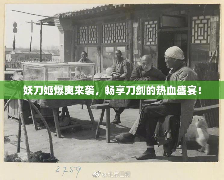 妖刀姬爆爽来袭，畅享刀剑的热血盛宴！