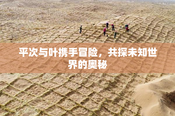 平次与叶携手冒险，共探未知世界的奥秘