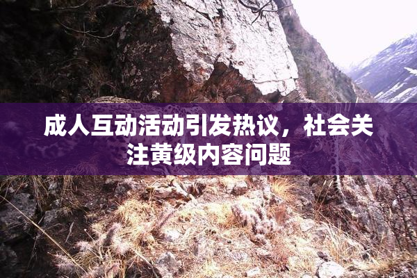 成人互动活动引发热议，社会关注黄级内容问题