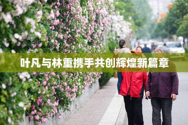 叶凡与林重携手共创辉煌新篇章