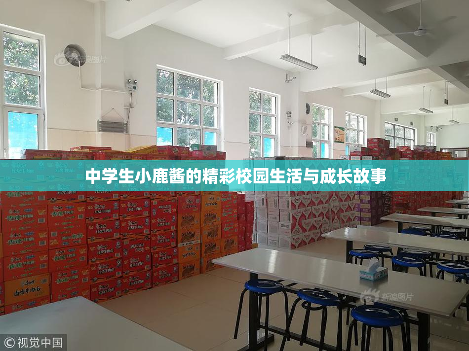 中学生小鹿酱的精彩校园生活与成长故事