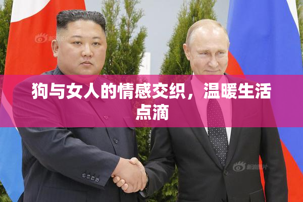狗与女人的情感交织，温暖生活点滴