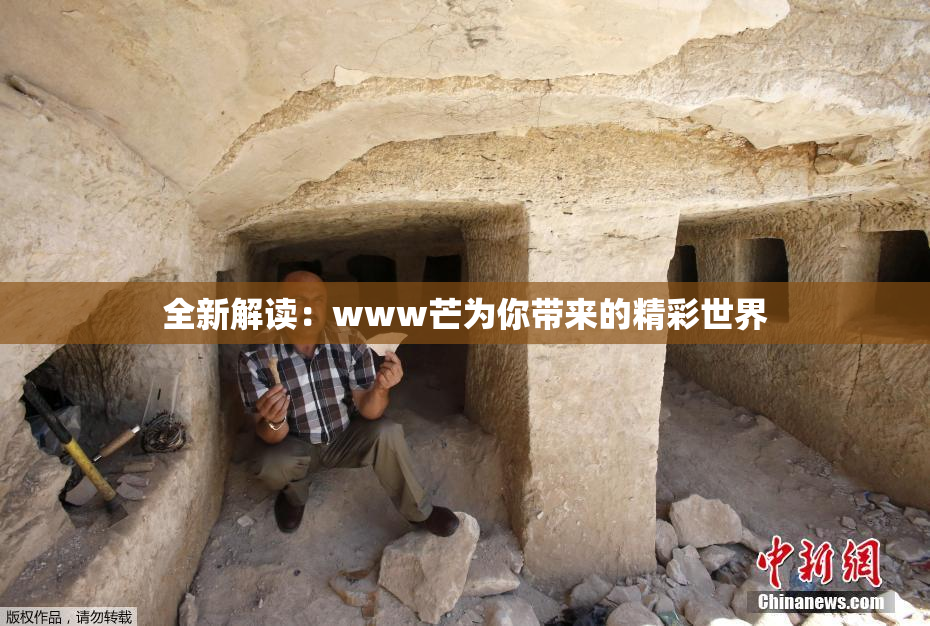 全新解读：www芒为你带来的精彩世界
