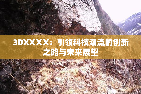 3DXXⅩX：引领科技潮流的创新之路与未来展望