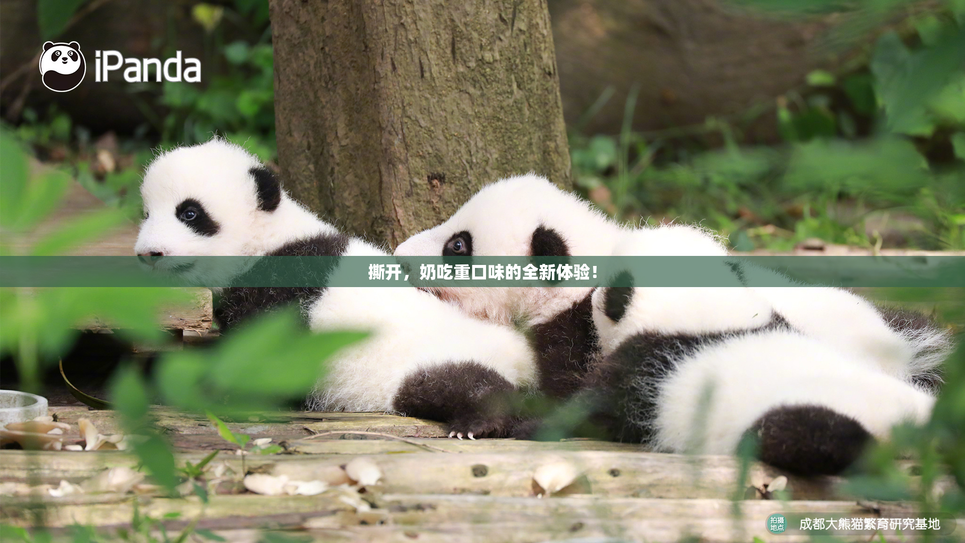 撕开，奶吃重口味的全新体验！