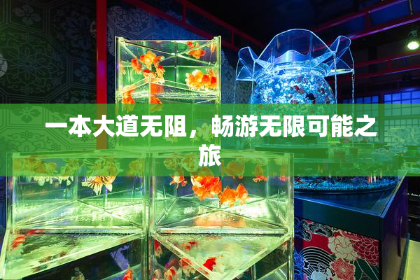 一本大道无阻，畅游无限可能之旅