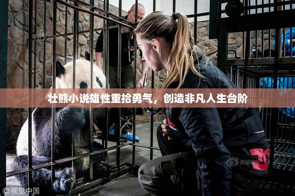 壮熊小说雄性重拾勇气，创造非凡人生台阶