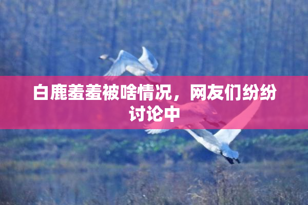 白鹿羞羞被啥情况，网友们纷纷讨论中