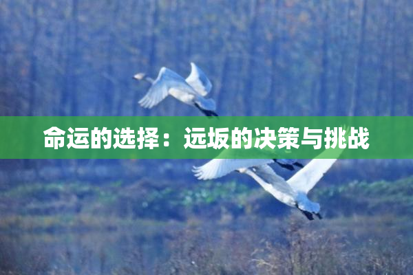 命运的选择：远坂的决策与挑战