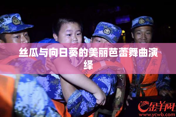 丝瓜与向日葵的美丽芭蕾舞曲演绎