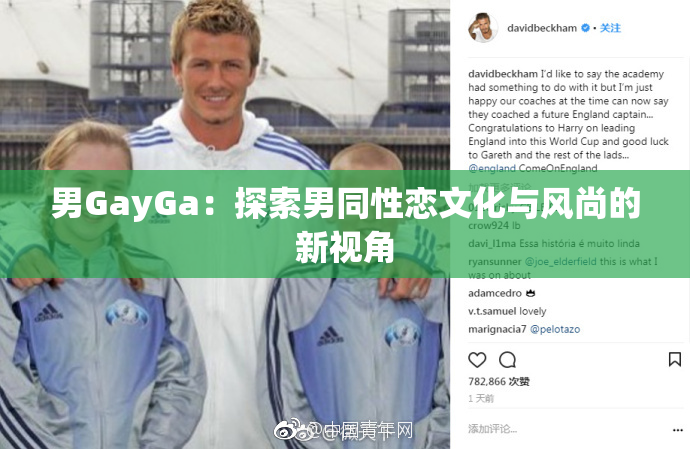 男GayGa：探索男同性恋文化与风尚的新视角
