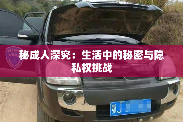 秘成人深究：生活中的秘密与隐私权挑战