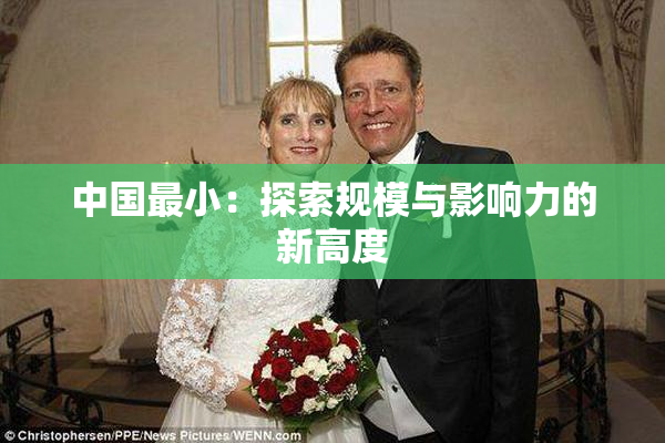 中国最小：探索规模与影响力的新高度