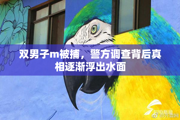 双男子m被捕，警方调查背后真相逐渐浮出水面
