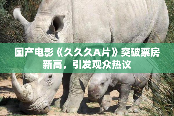 国产电影《久久久A片》突破票房新高，引发观众热议