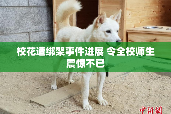 校花遭绑架事件进展 令全校师生震惊不已