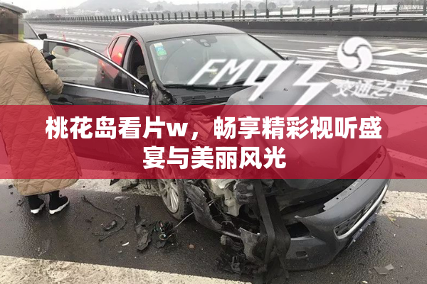 桃花岛看片w，畅享精彩视听盛宴与美丽风光